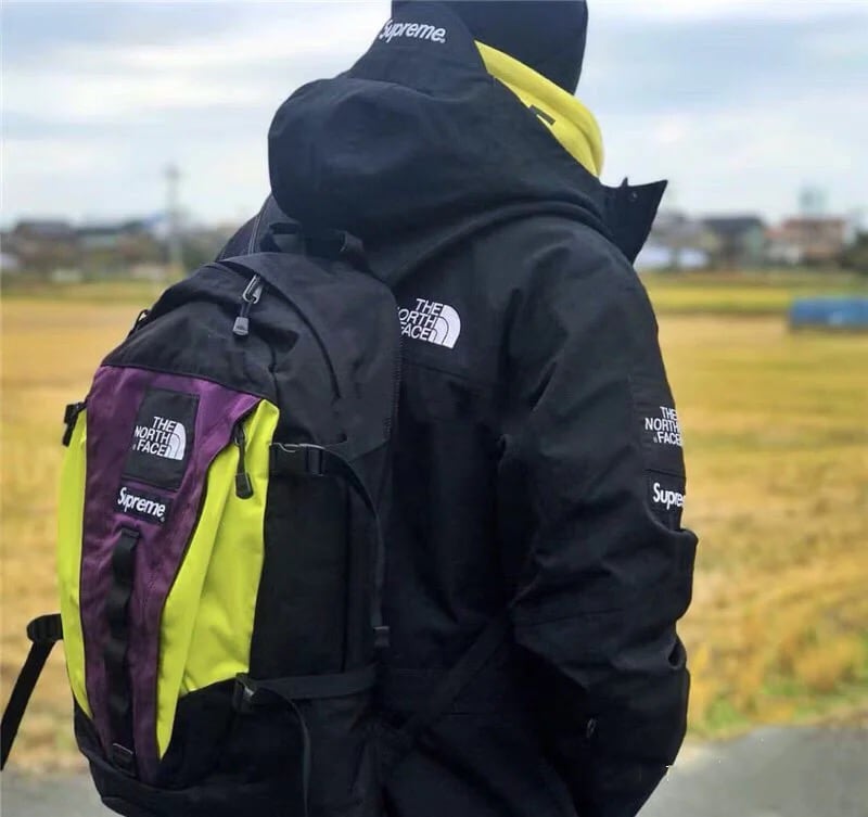 Supreme THE NORTH FACE Expedition Backpack AW 18 WEEK 15パックリュック  ノースフェイスエクスペディションバック